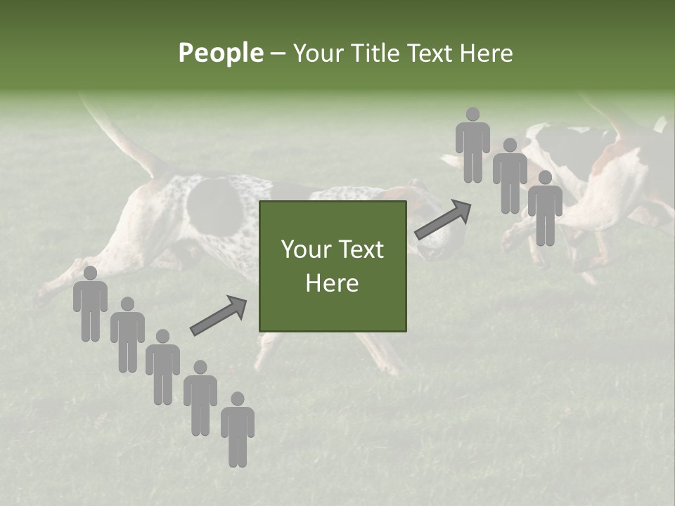 A Group Of Dogs Running In A Field Of Grass PowerPoint Template
