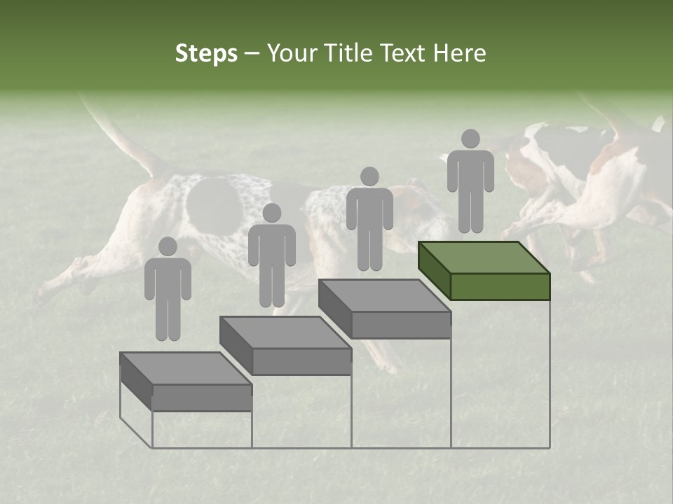 A Group Of Dogs Running In A Field Of Grass PowerPoint Template