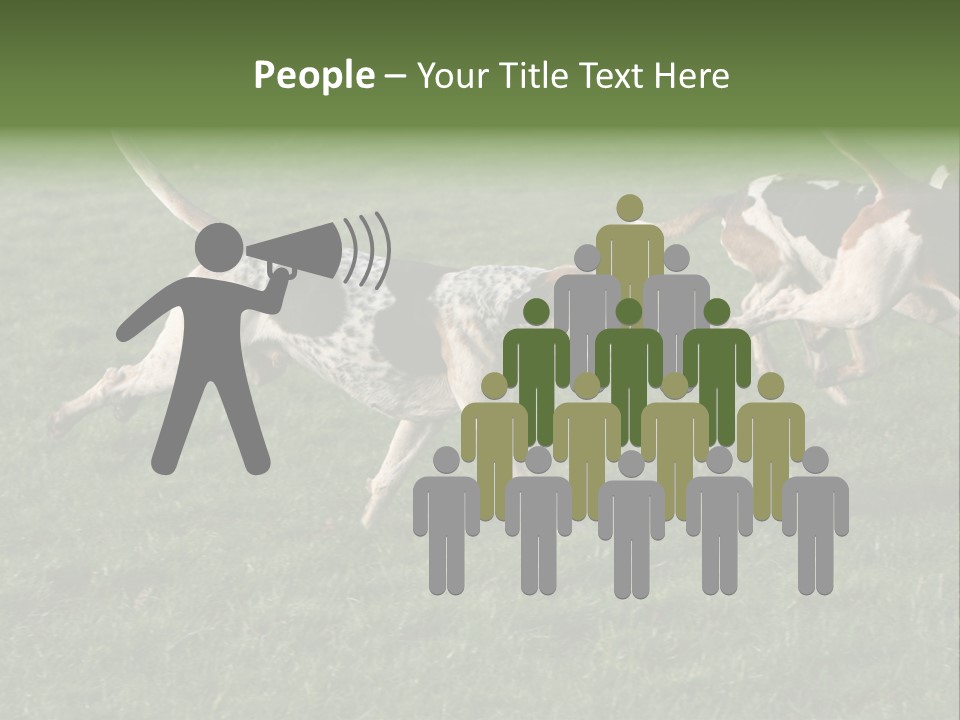 A Group Of Dogs Running In A Field Of Grass PowerPoint Template