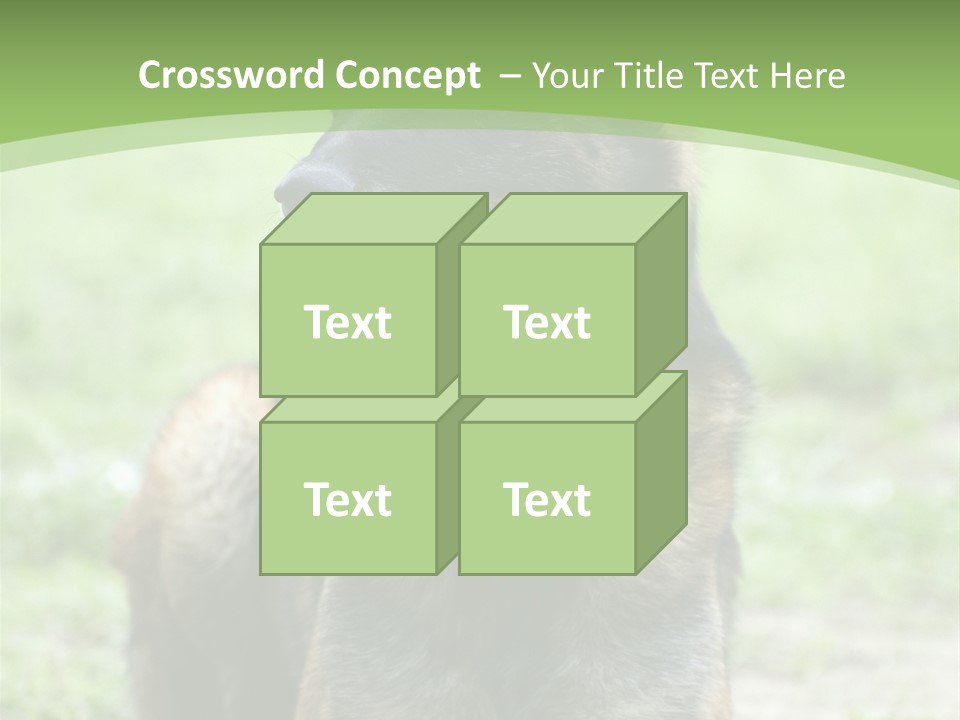 A German Shepherd Laying Down In The Grass PowerPoint Template