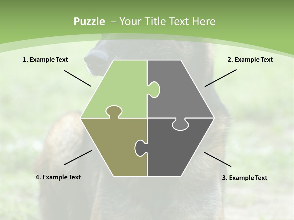 A German Shepherd Laying Down In The Grass PowerPoint Template