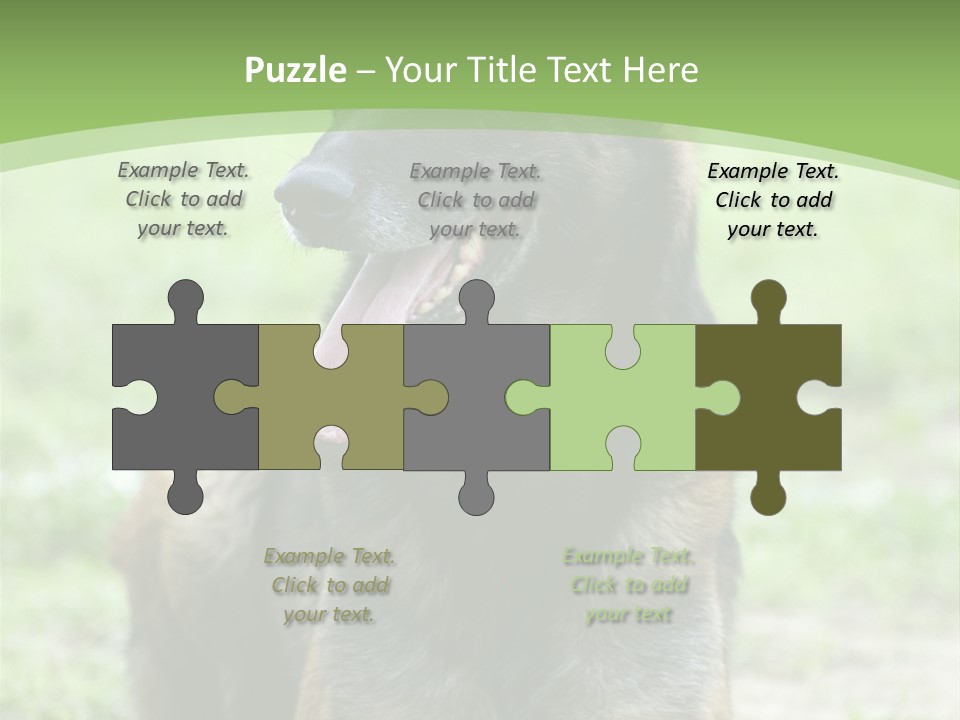 A German Shepherd Laying Down In The Grass PowerPoint Template