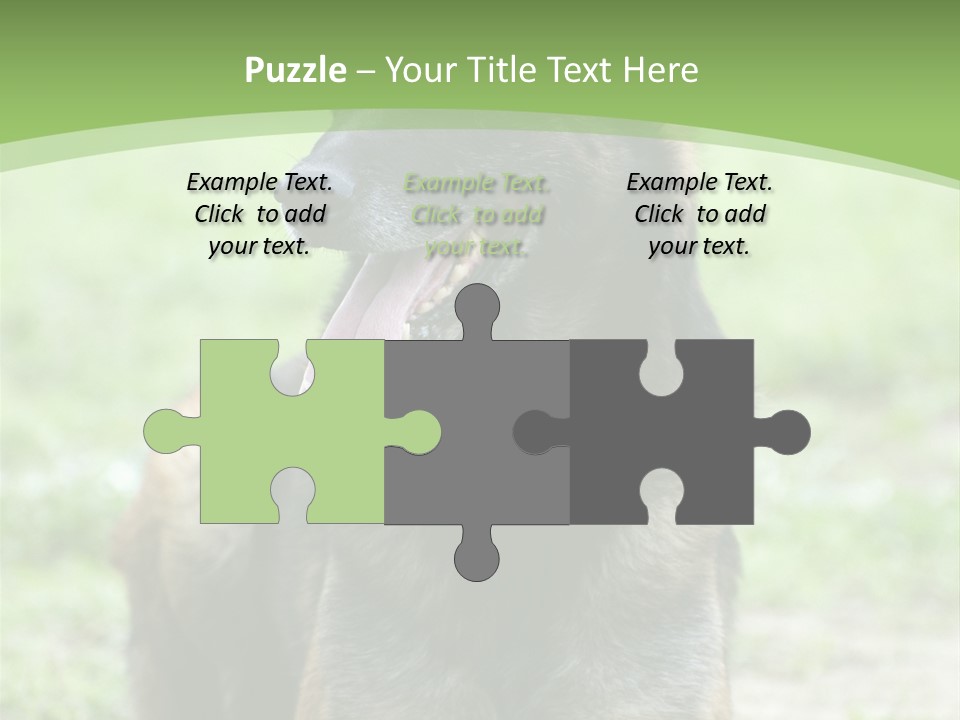 A German Shepherd Laying Down In The Grass PowerPoint Template