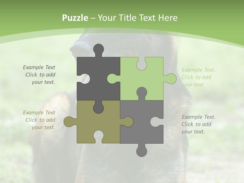 A German Shepherd Laying Down In The Grass PowerPoint Template