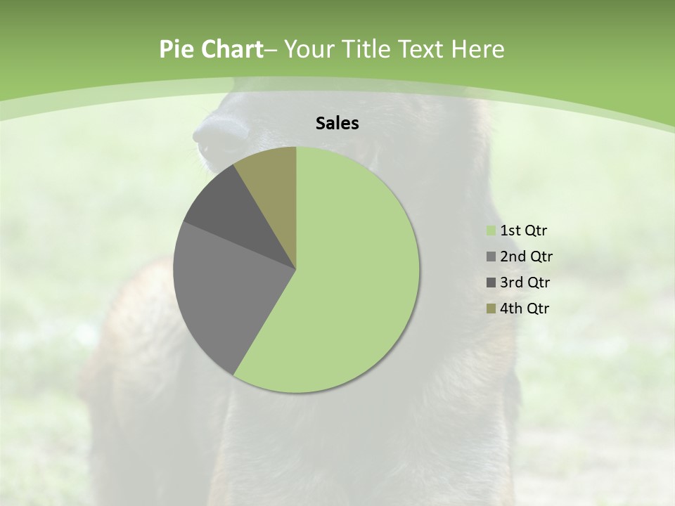 A German Shepherd Laying Down In The Grass PowerPoint Template