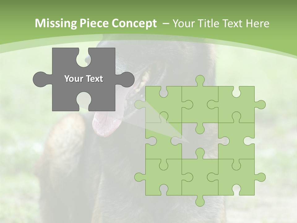 A German Shepherd Laying Down In The Grass PowerPoint Template