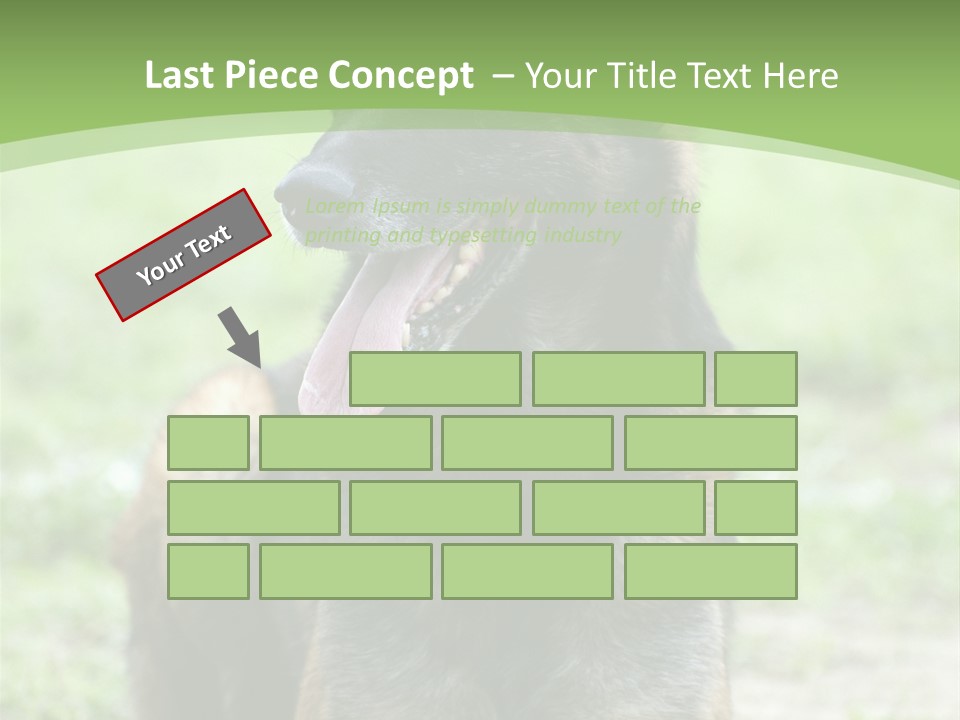 A German Shepherd Laying Down In The Grass PowerPoint Template