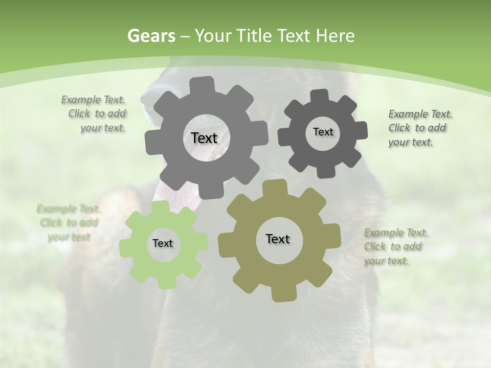 A German Shepherd Laying Down In The Grass PowerPoint Template