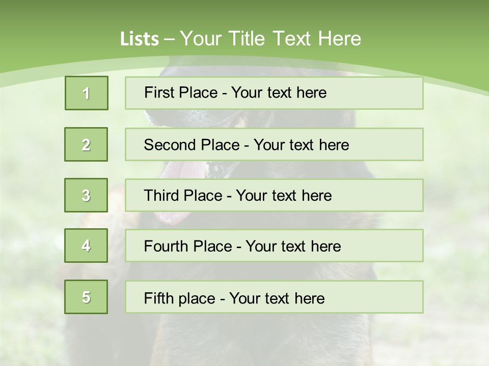 A German Shepherd Laying Down In The Grass PowerPoint Template