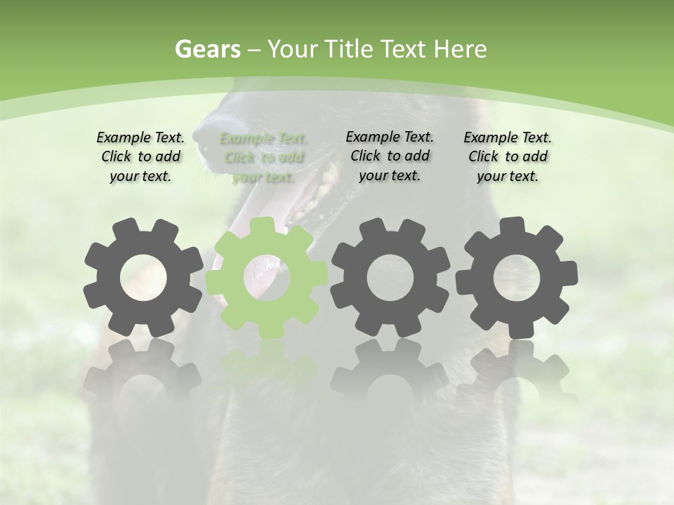 A German Shepherd Laying Down In The Grass PowerPoint Template