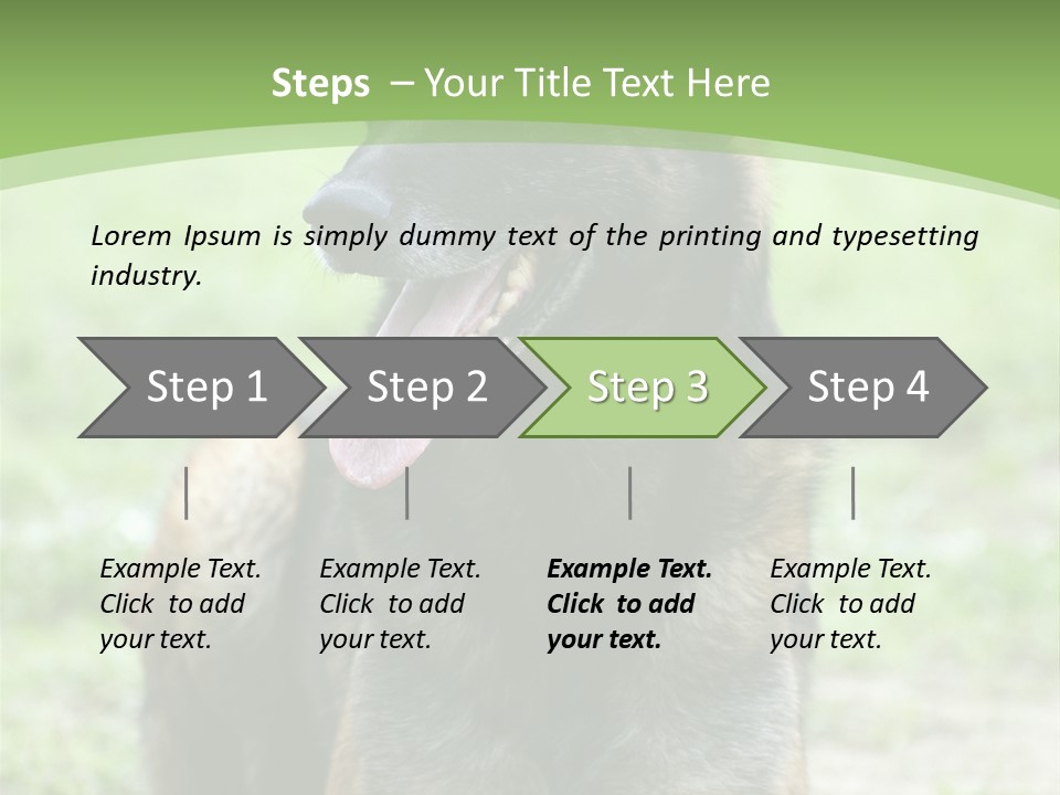 A German Shepherd Laying Down In The Grass PowerPoint Template