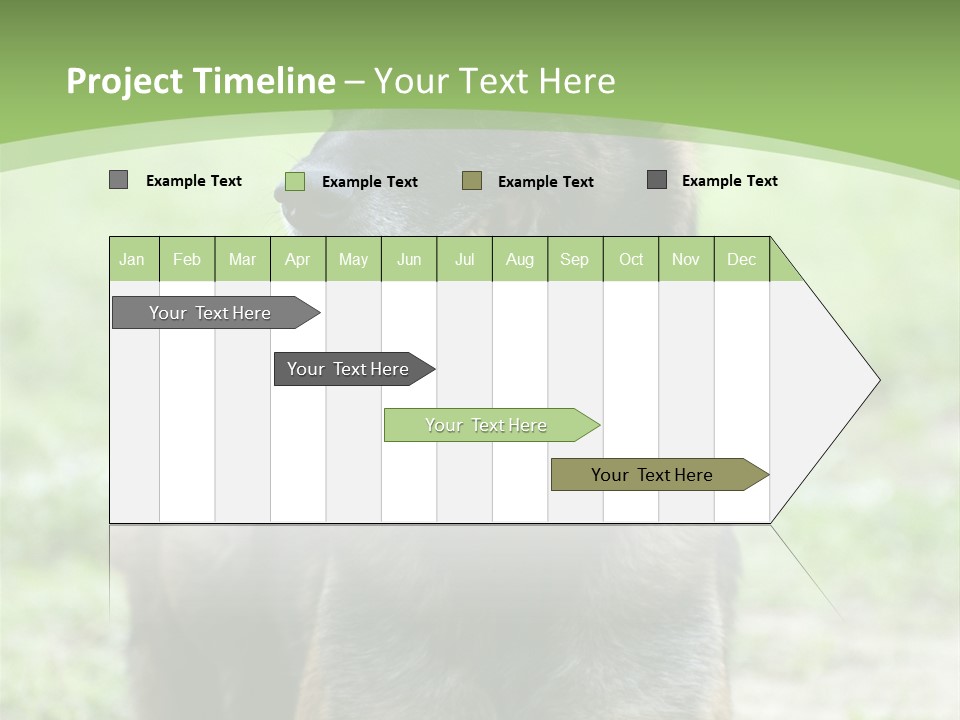 A German Shepherd Laying Down In The Grass PowerPoint Template