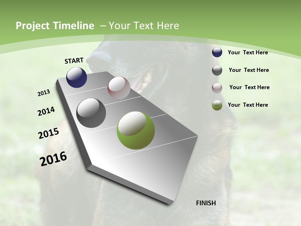 A German Shepherd Laying Down In The Grass PowerPoint Template