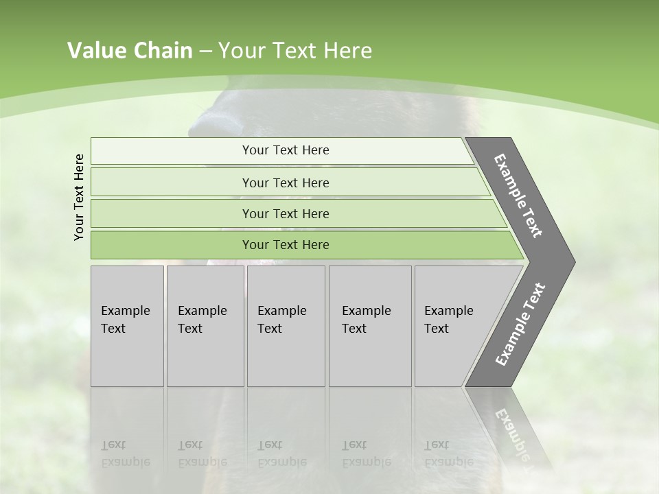 A German Shepherd Laying Down In The Grass PowerPoint Template