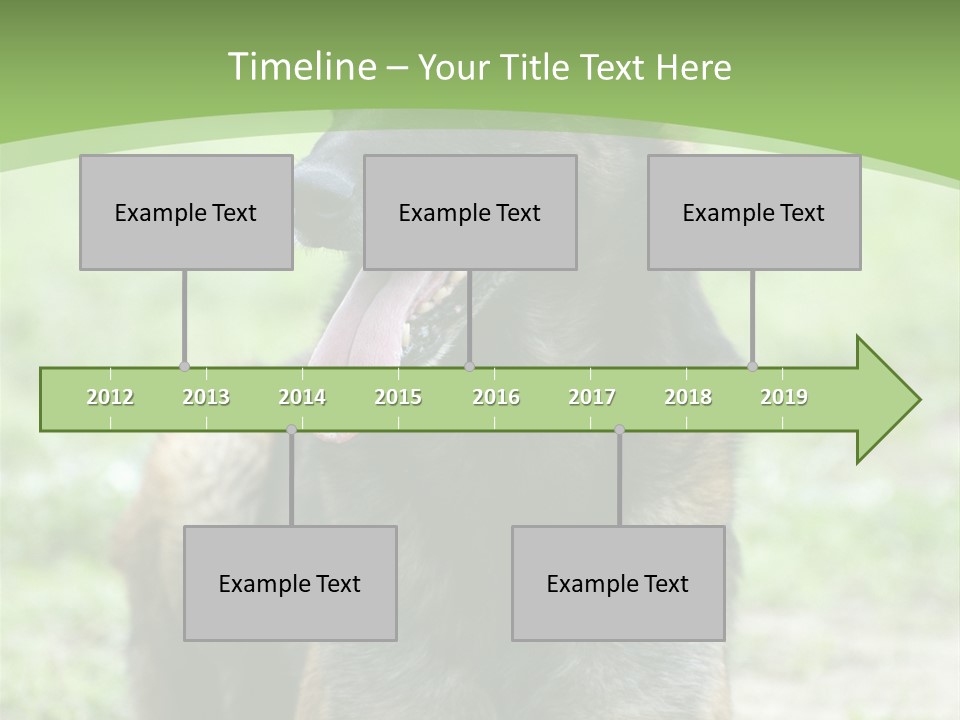 A German Shepherd Laying Down In The Grass PowerPoint Template