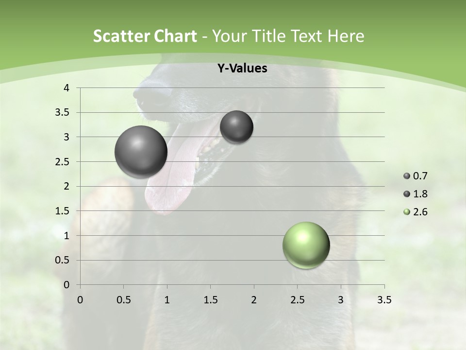 A German Shepherd Laying Down In The Grass PowerPoint Template