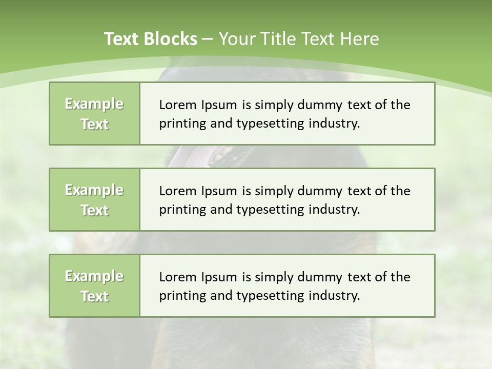 A German Shepherd Laying Down In The Grass PowerPoint Template