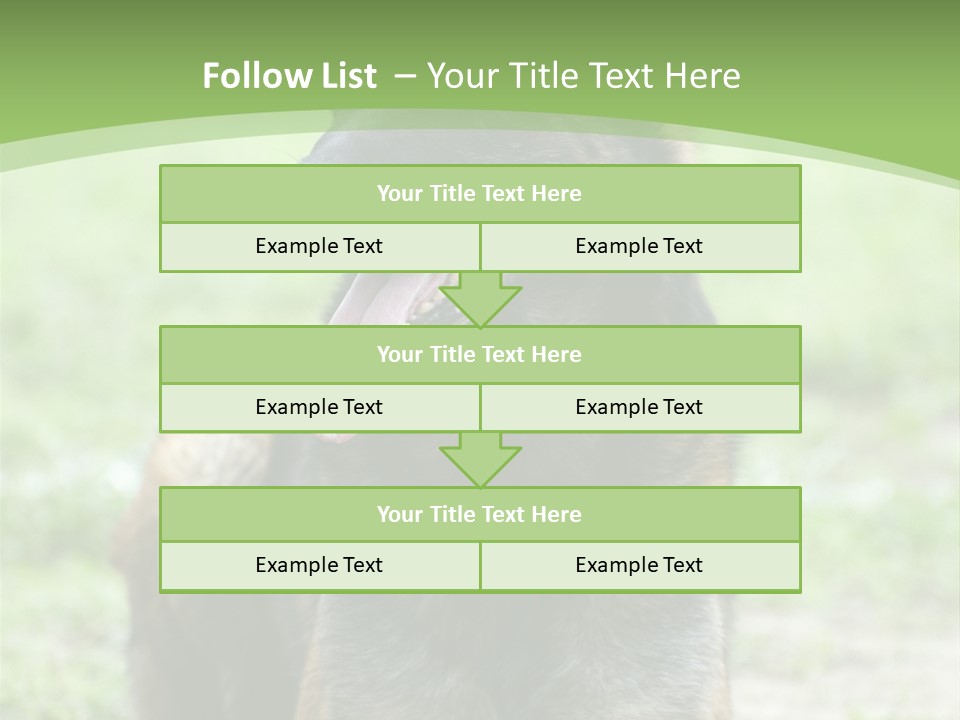 A German Shepherd Laying Down In The Grass PowerPoint Template