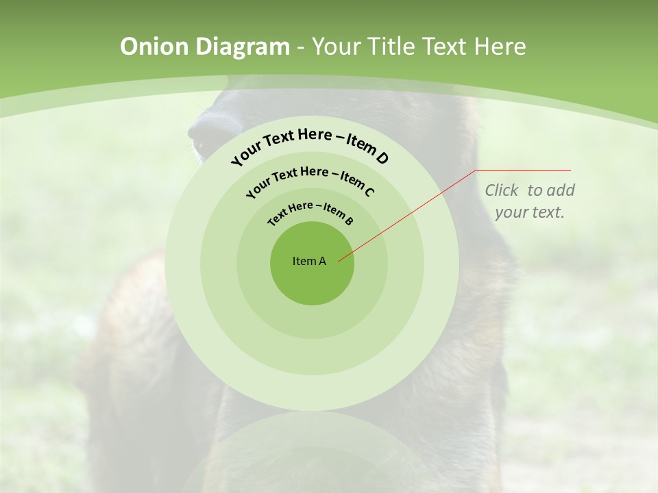 A German Shepherd Laying Down In The Grass PowerPoint Template