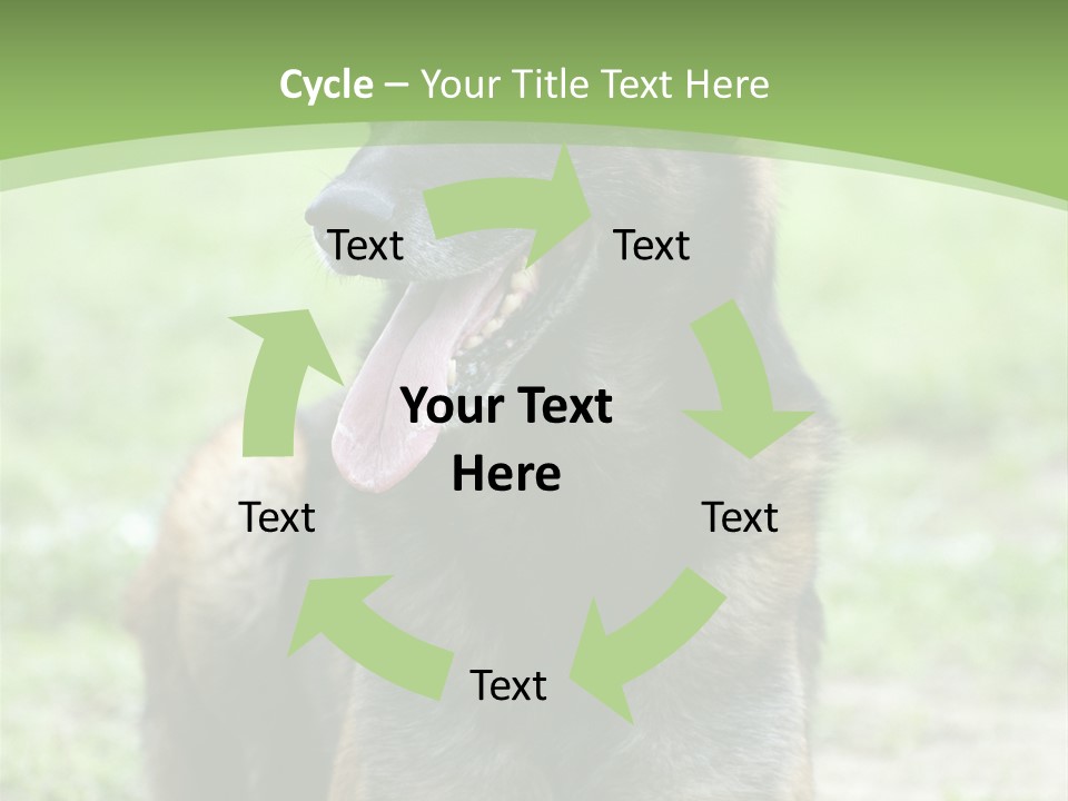 A German Shepherd Laying Down In The Grass PowerPoint Template