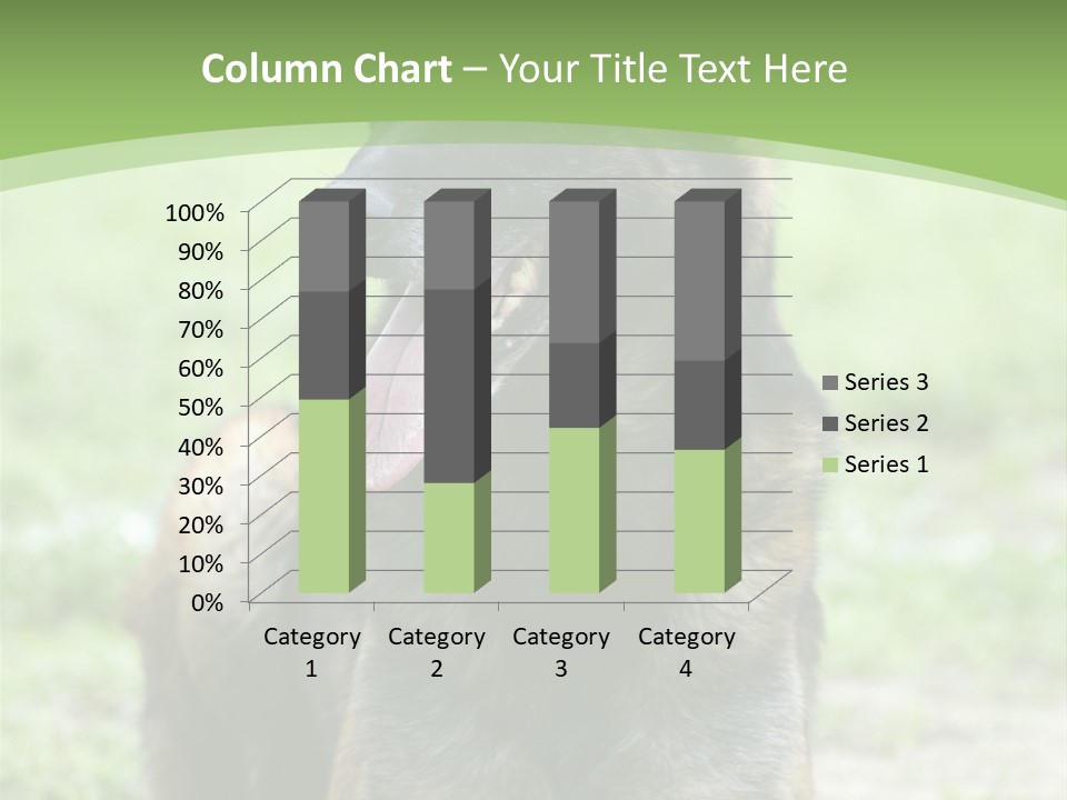 A German Shepherd Laying Down In The Grass PowerPoint Template