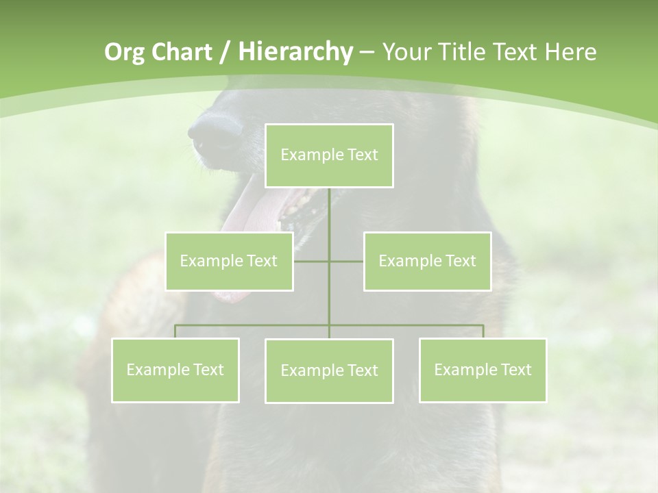 A German Shepherd Laying Down In The Grass PowerPoint Template