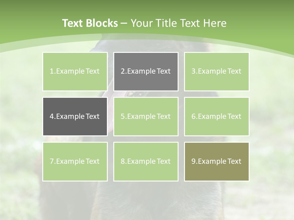 A German Shepherd Laying Down In The Grass PowerPoint Template