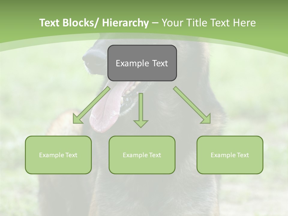 A German Shepherd Laying Down In The Grass PowerPoint Template