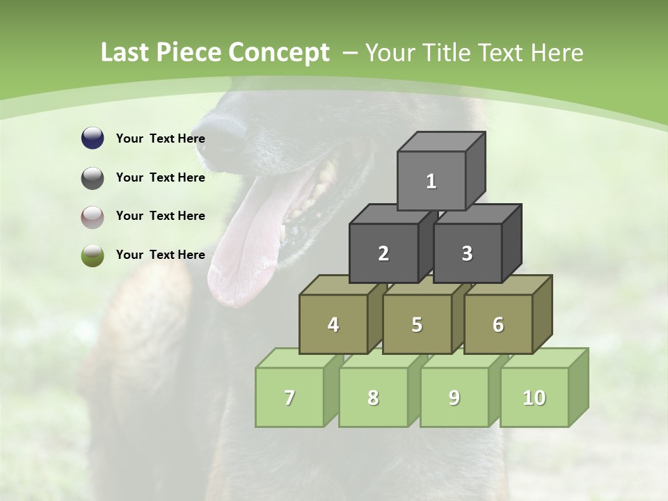 A German Shepherd Laying Down In The Grass PowerPoint Template