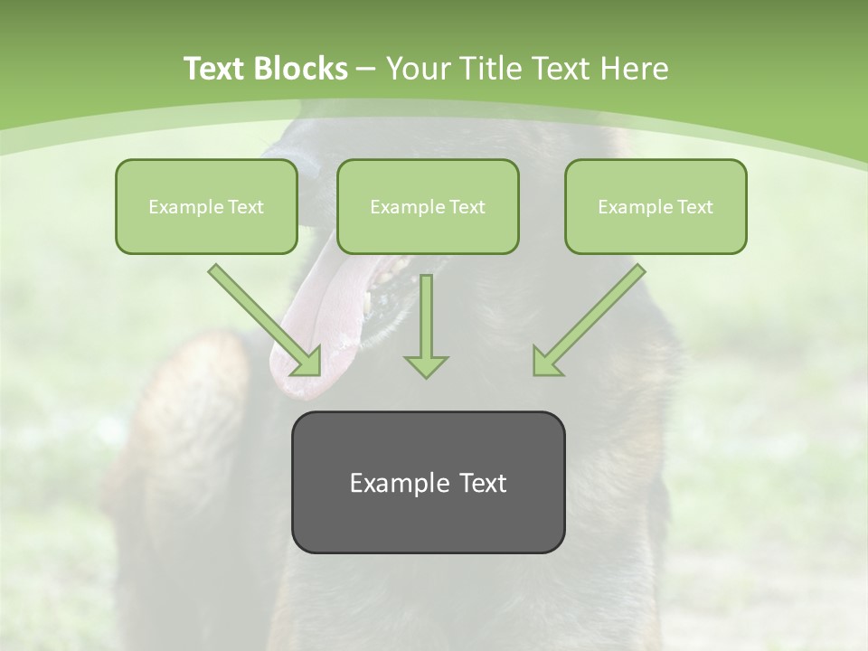 A German Shepherd Laying Down In The Grass PowerPoint Template