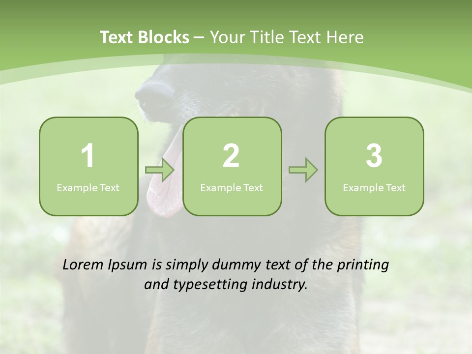 A German Shepherd Laying Down In The Grass PowerPoint Template