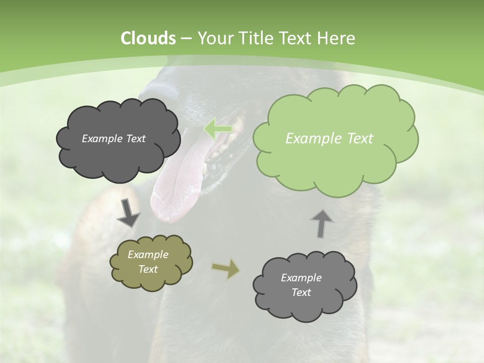 A German Shepherd Laying Down In The Grass PowerPoint Template