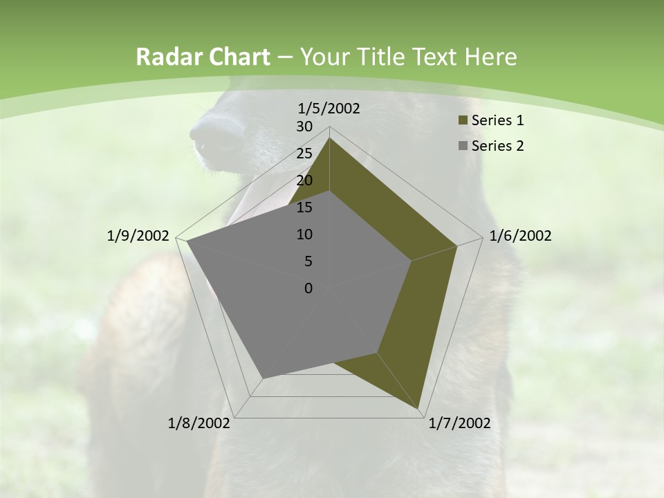 A German Shepherd Laying Down In The Grass PowerPoint Template