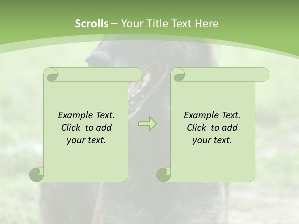 A German Shepherd Laying Down In The Grass PowerPoint Template