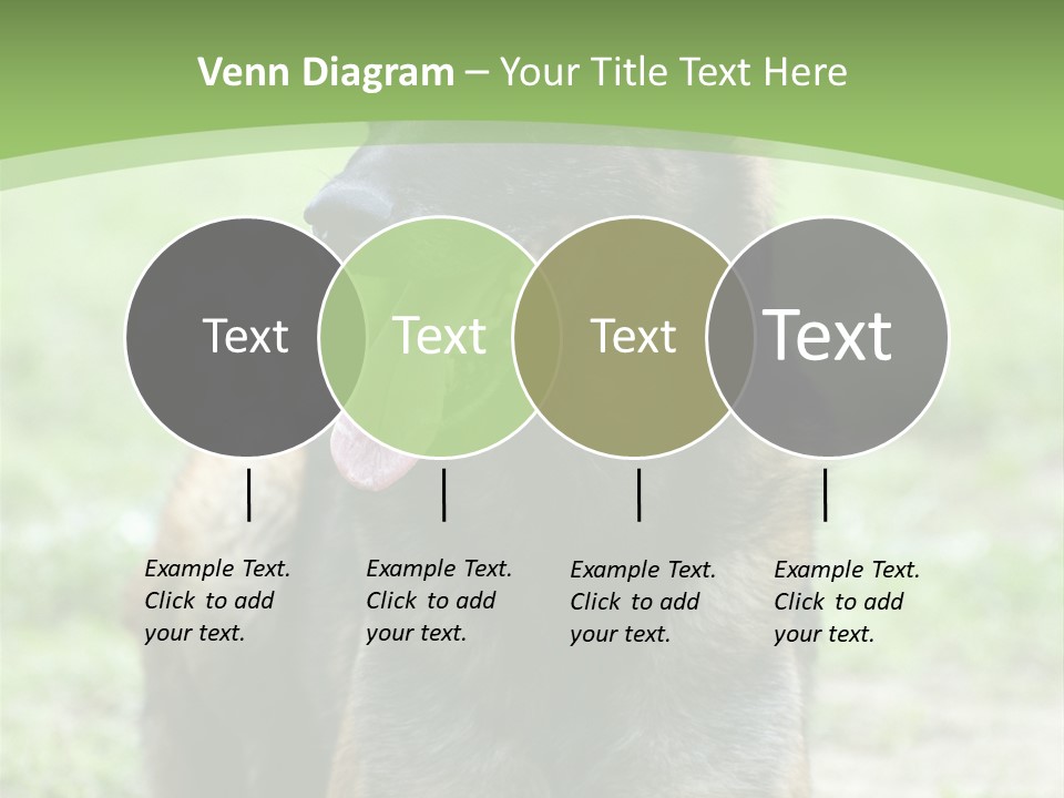 A German Shepherd Laying Down In The Grass PowerPoint Template