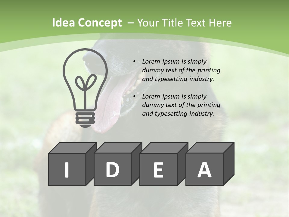 A German Shepherd Laying Down In The Grass PowerPoint Template