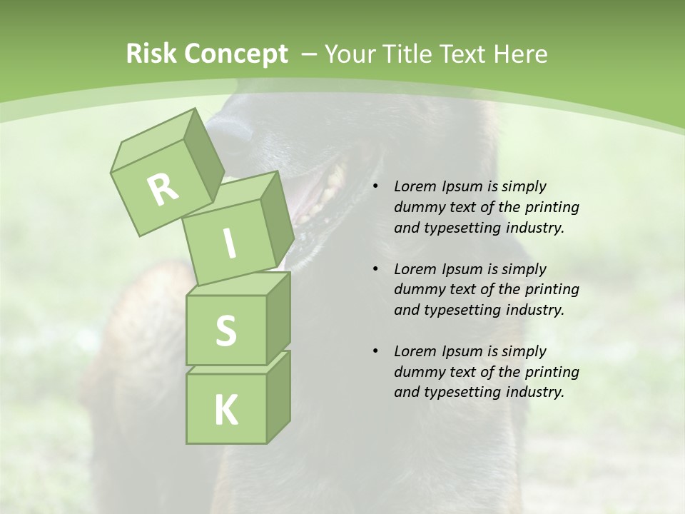 A German Shepherd Laying Down In The Grass PowerPoint Template