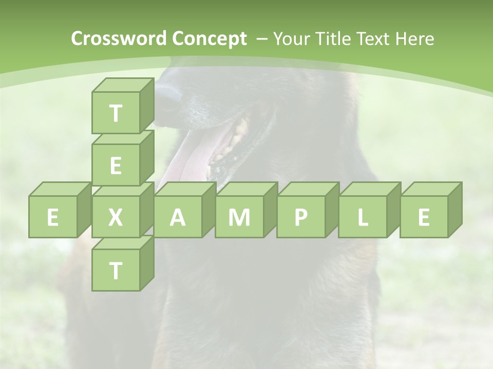 A German Shepherd Laying Down In The Grass PowerPoint Template