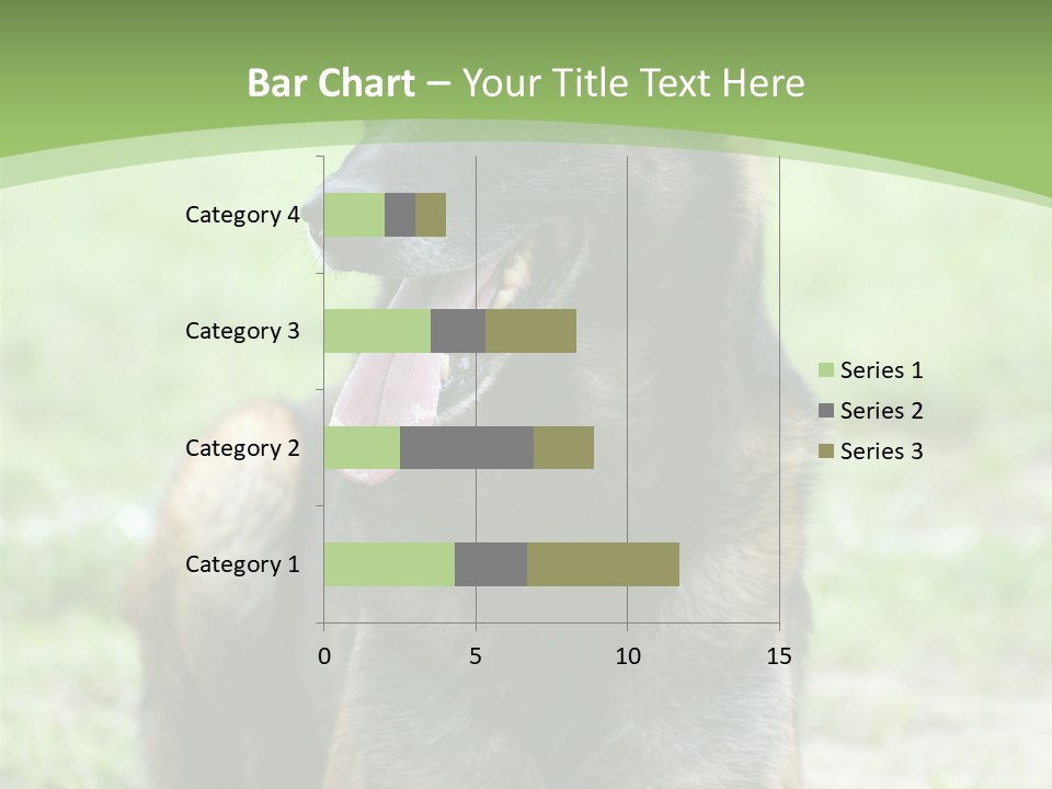 A German Shepherd Laying Down In The Grass PowerPoint Template