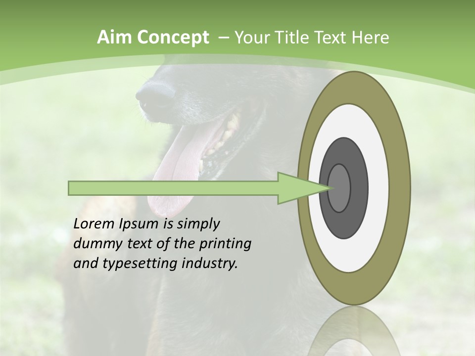 A German Shepherd Laying Down In The Grass PowerPoint Template