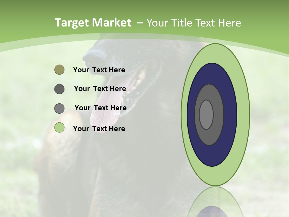 A German Shepherd Laying Down In The Grass PowerPoint Template