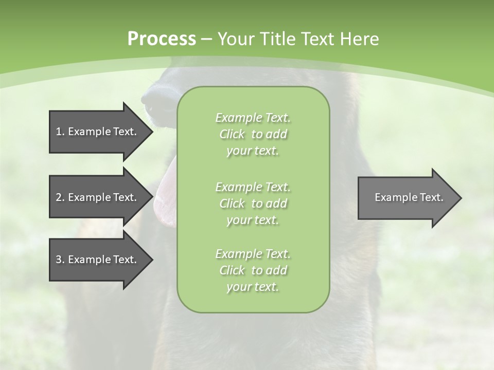 A German Shepherd Laying Down In The Grass PowerPoint Template