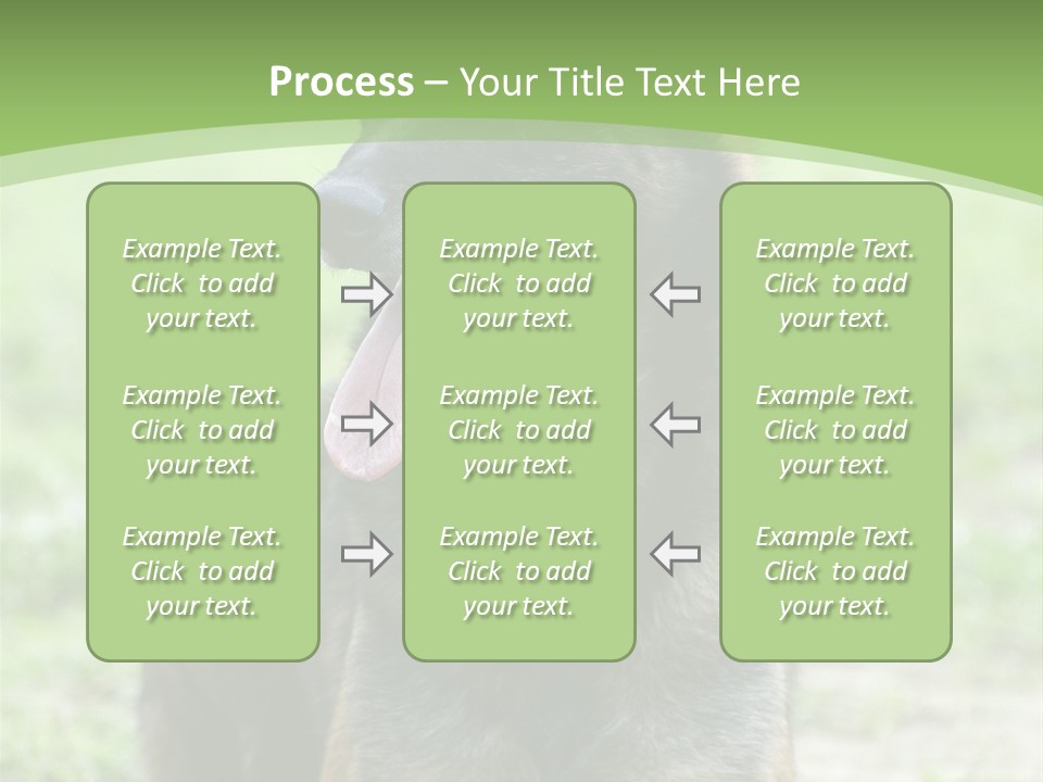 A German Shepherd Laying Down In The Grass PowerPoint Template