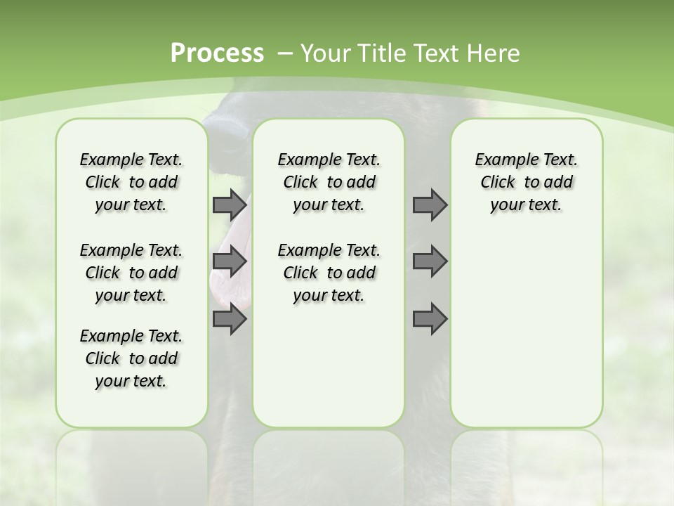 A German Shepherd Laying Down In The Grass PowerPoint Template