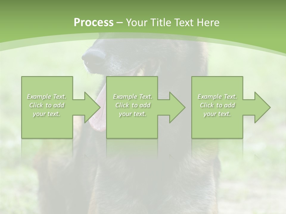 A German Shepherd Laying Down In The Grass PowerPoint Template