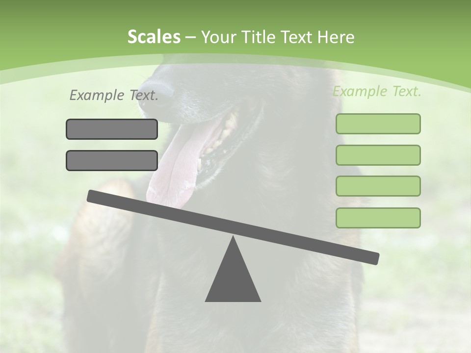 A German Shepherd Laying Down In The Grass PowerPoint Template