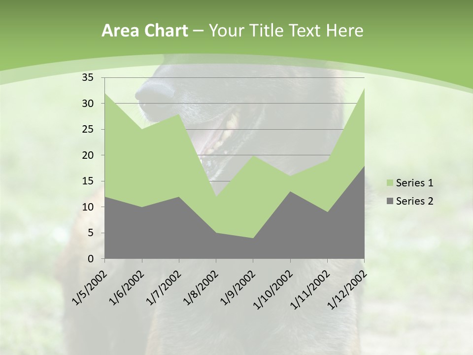 A German Shepherd Laying Down In The Grass PowerPoint Template