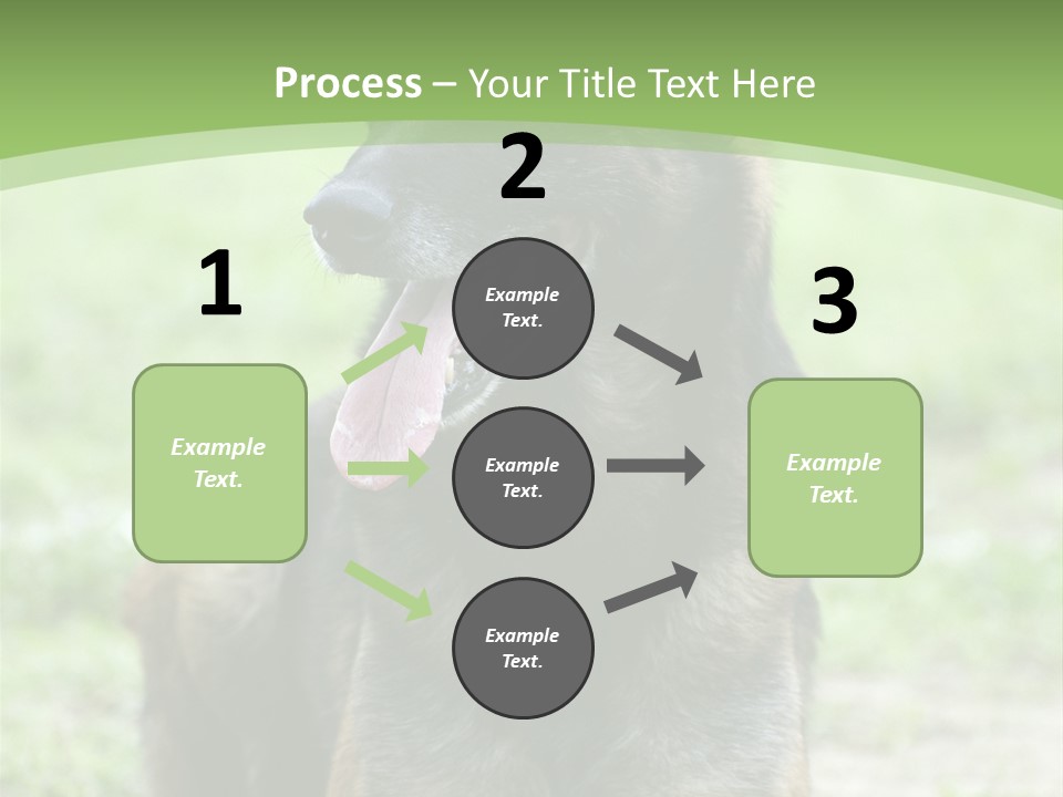 A German Shepherd Laying Down In The Grass PowerPoint Template