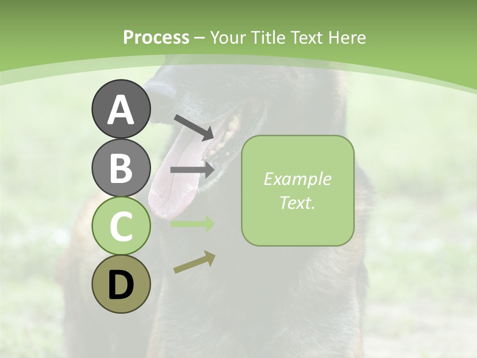 A German Shepherd Laying Down In The Grass PowerPoint Template