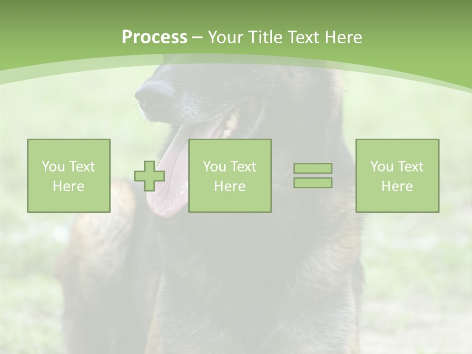 A German Shepherd Laying Down In The Grass PowerPoint Template